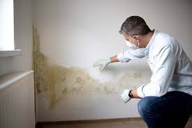 Best Mold Removal for HVAC Installations  in New Market, MD